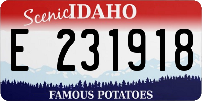 ID license plate E231918