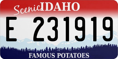 ID license plate E231919
