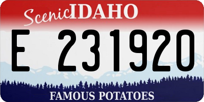 ID license plate E231920