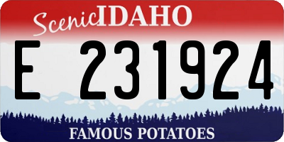 ID license plate E231924
