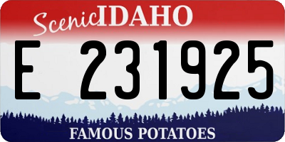 ID license plate E231925
