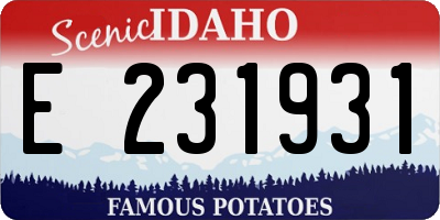 ID license plate E231931