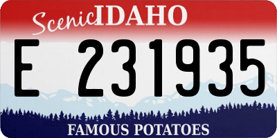 ID license plate E231935