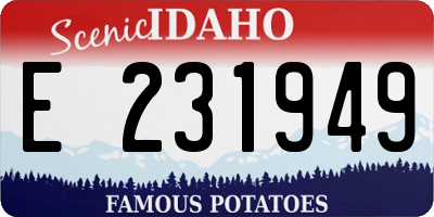 ID license plate E231949