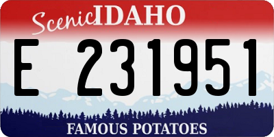 ID license plate E231951