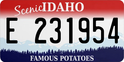 ID license plate E231954