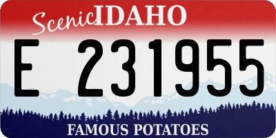 ID license plate E231955