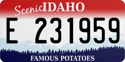 ID license plate E231959