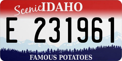 ID license plate E231961