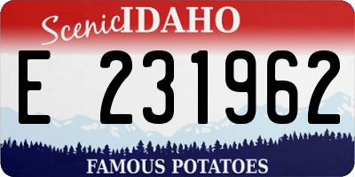 ID license plate E231962