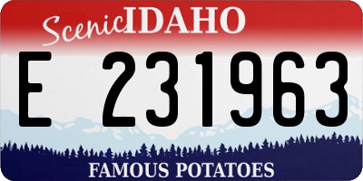 ID license plate E231963