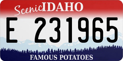 ID license plate E231965