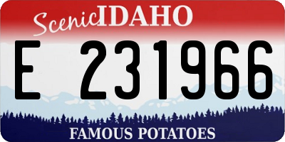 ID license plate E231966