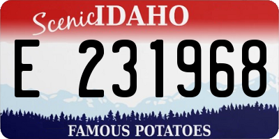 ID license plate E231968