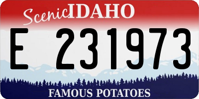 ID license plate E231973