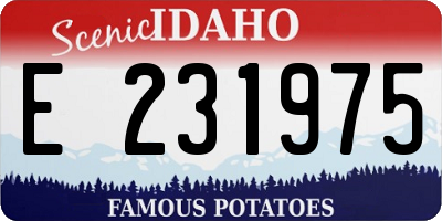 ID license plate E231975