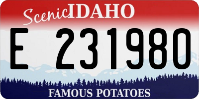 ID license plate E231980
