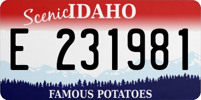 ID license plate E231981
