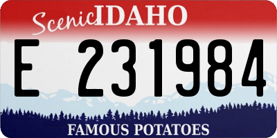 ID license plate E231984