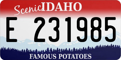 ID license plate E231985