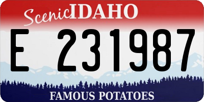 ID license plate E231987