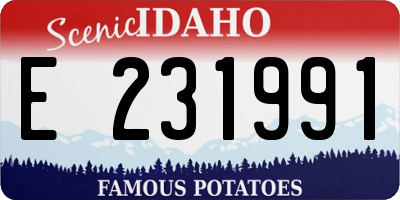 ID license plate E231991