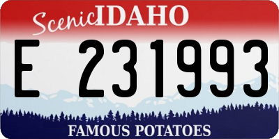 ID license plate E231993