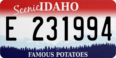 ID license plate E231994