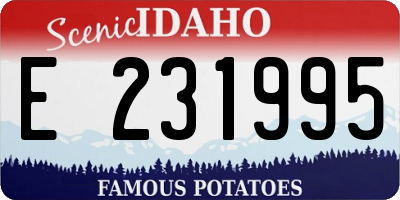 ID license plate E231995