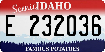 ID license plate E232036
