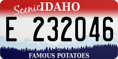 ID license plate E232046