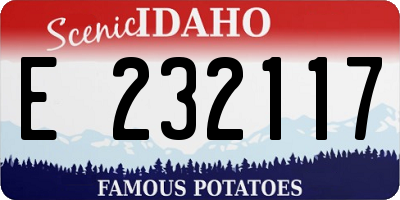 ID license plate E232117