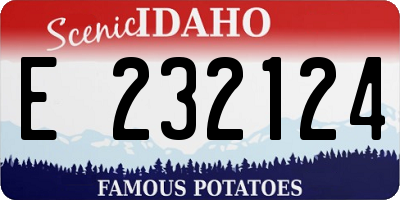 ID license plate E232124