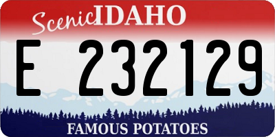 ID license plate E232129