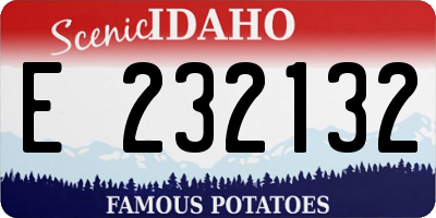 ID license plate E232132
