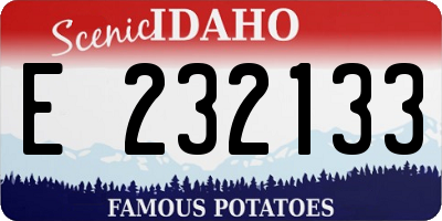 ID license plate E232133