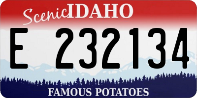 ID license plate E232134