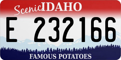ID license plate E232166