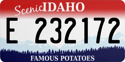 ID license plate E232172