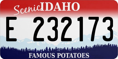 ID license plate E232173