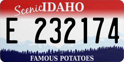 ID license plate E232174