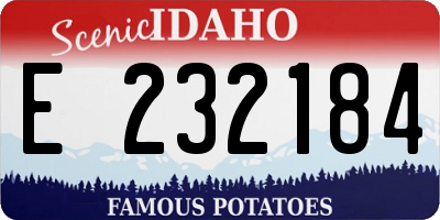 ID license plate E232184