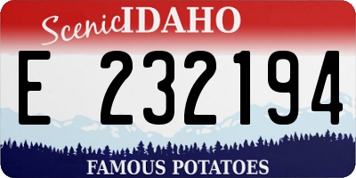 ID license plate E232194