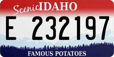 ID license plate E232197