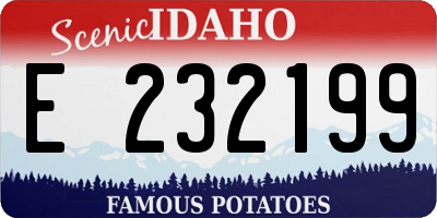 ID license plate E232199