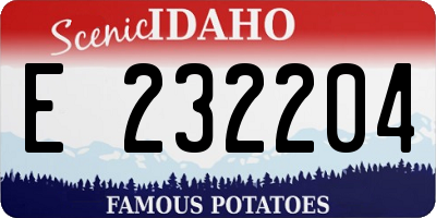 ID license plate E232204