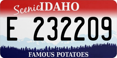 ID license plate E232209