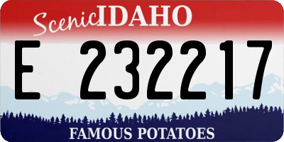 ID license plate E232217