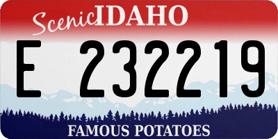 ID license plate E232219