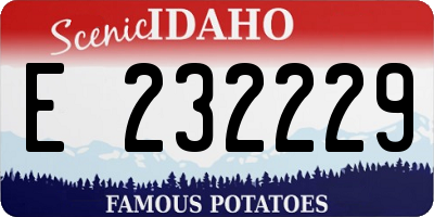 ID license plate E232229